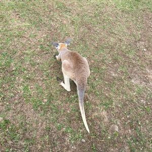 Meet your Posher, Cassie